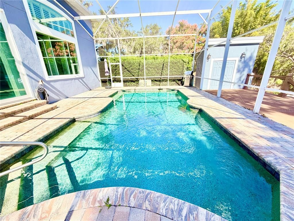 Glass Ceilings, Interior, Pool, Sun Room
