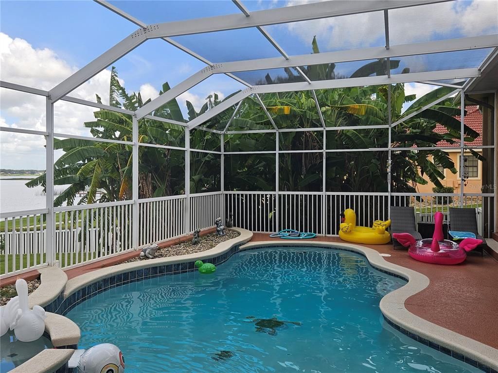 Glass Ceilings, Interior, Pool, Sun Room, Water