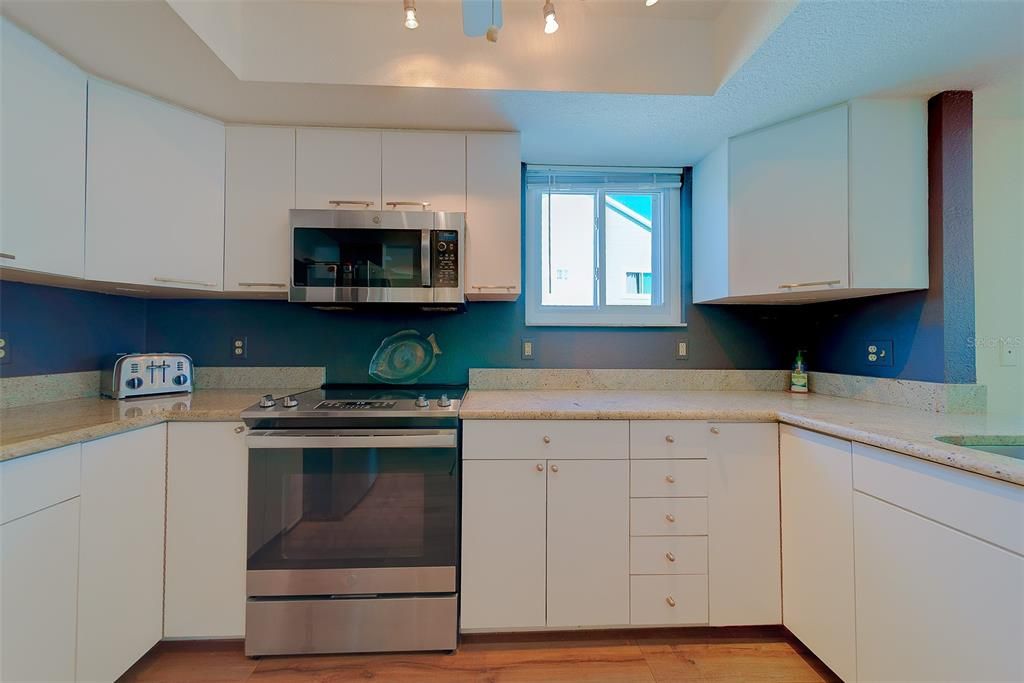 Interior, Kitchen, Stainless Steel Appliances, Wood Texture Flooring