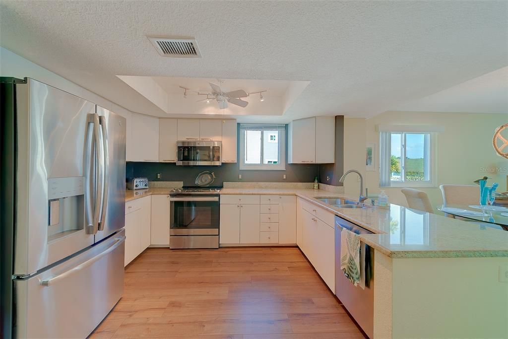 Interior, Kitchen, Stainless Steel Appliances, Wood Texture Flooring