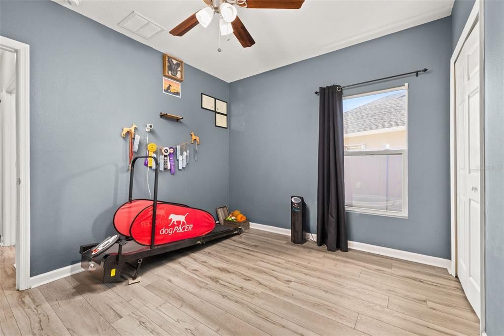 Fitness Equipment, Interior, Wood Texture Flooring