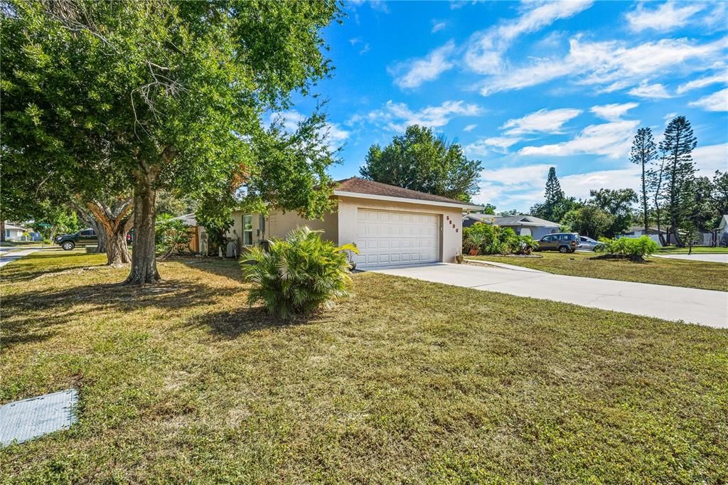 Backyard, Detached Garage, Exterior