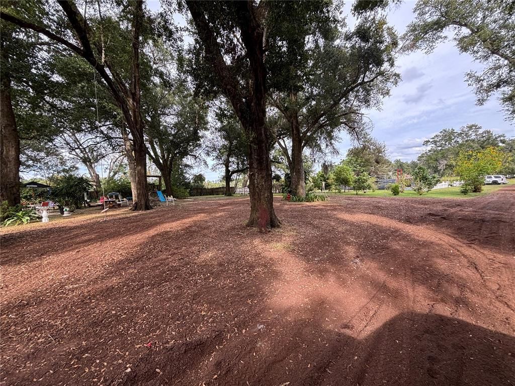 Backyard, Exterior, Playground