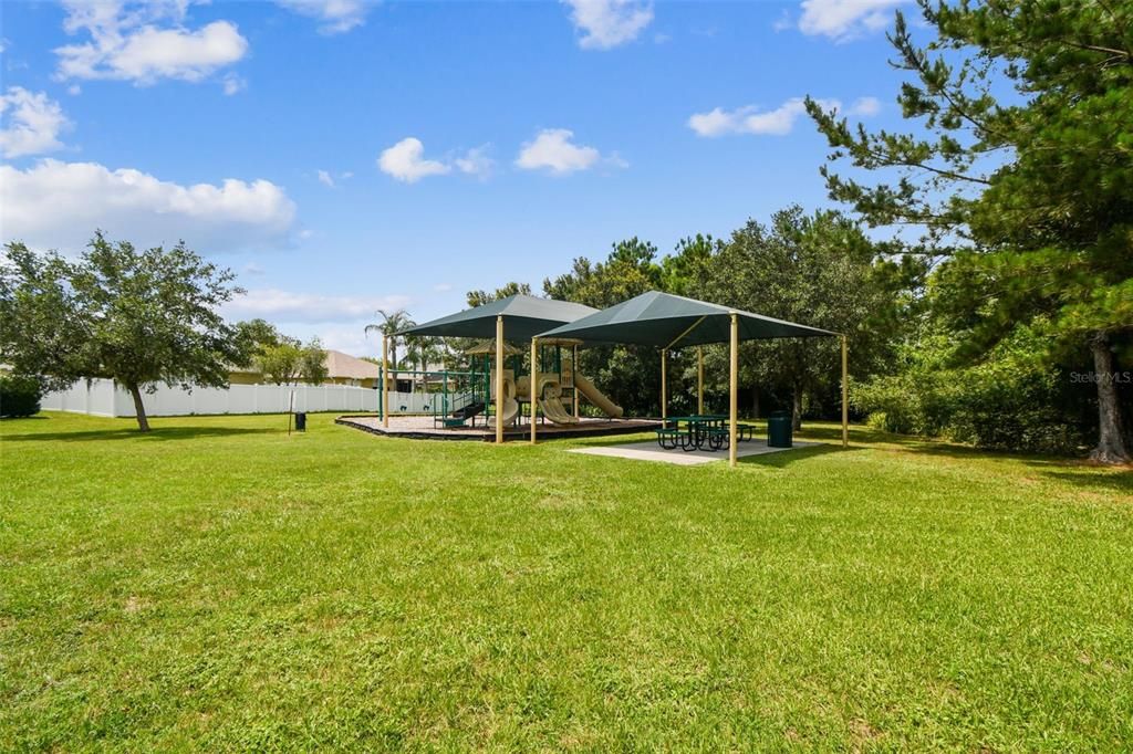 Backyard, Exterior, Playground