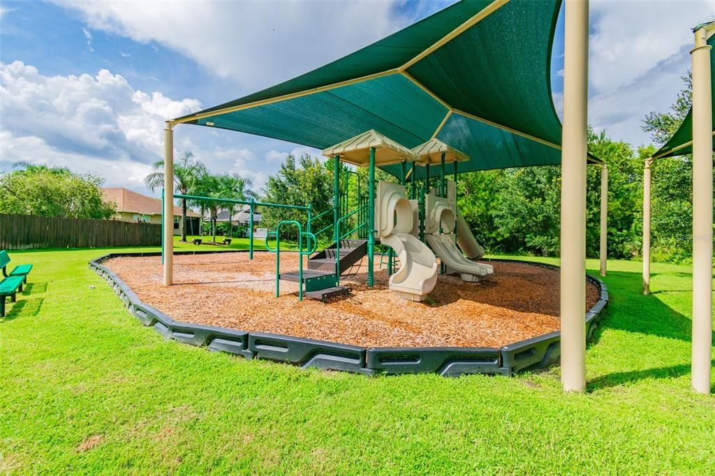 Backyard, Exterior, Playground