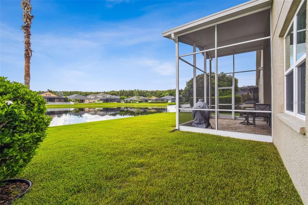 Backyard, Exterior, Water