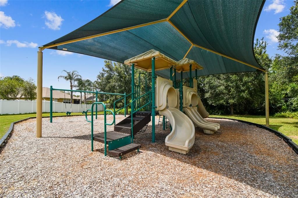 Backyard, Exterior, Playground