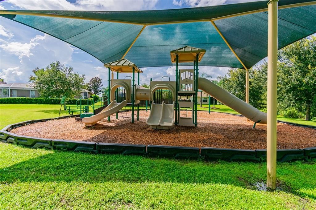 Backyard, Exterior, Playground