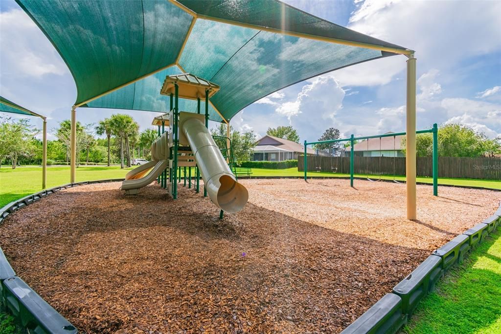 Backyard, Exterior, Playground