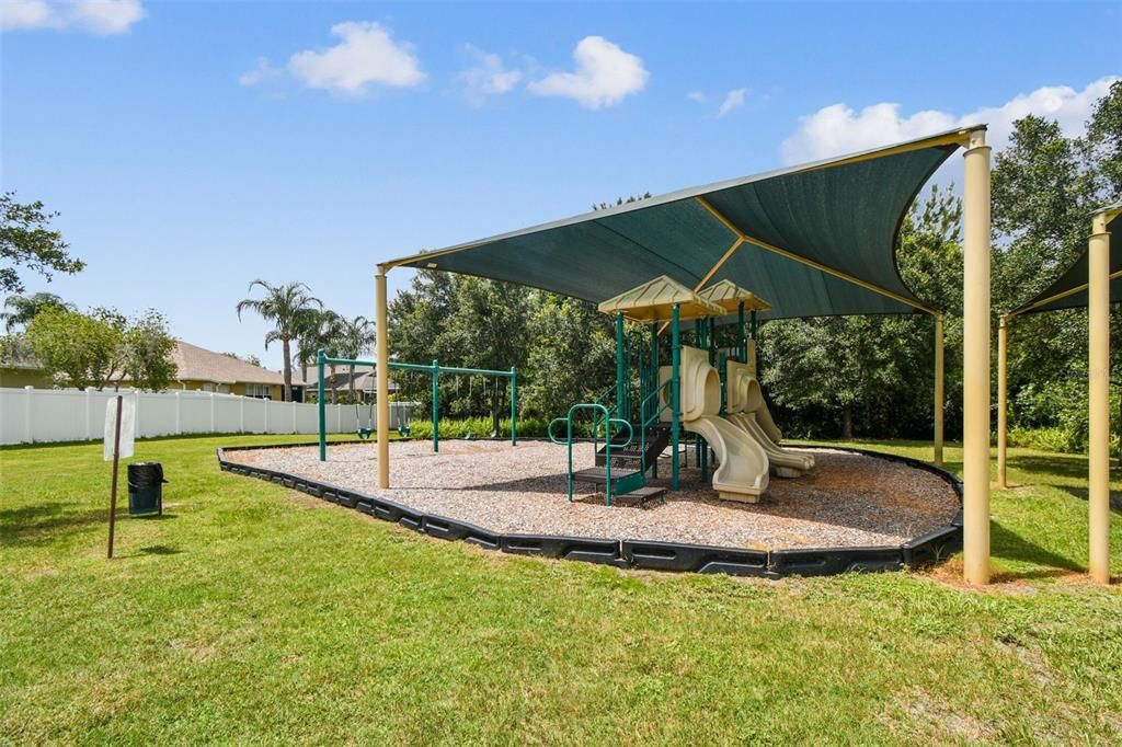 Backyard, Exterior, Playground