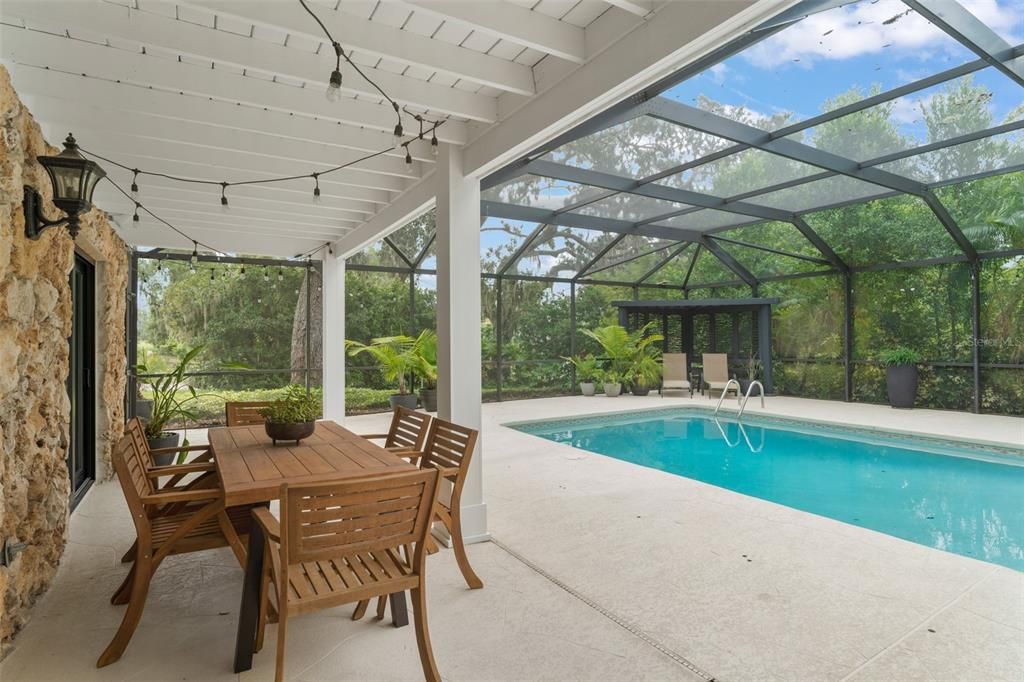Glass Ceilings, Interior, Pool, Sun Room