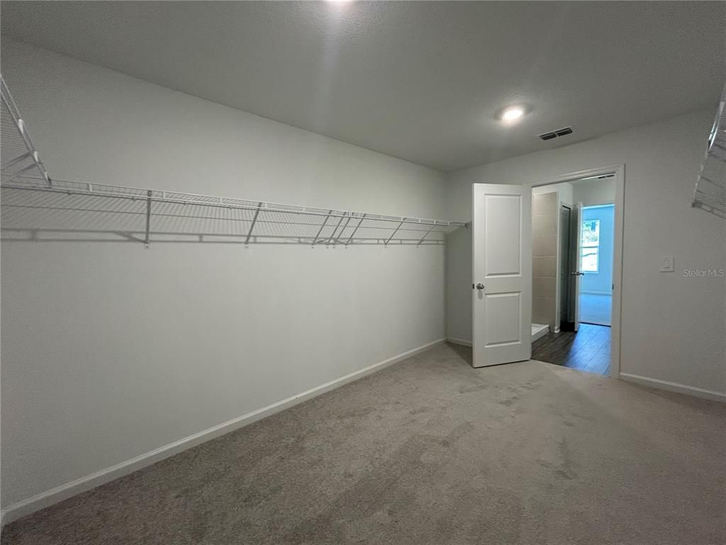 Interior, Recessed Lighting, Walk-in Closets