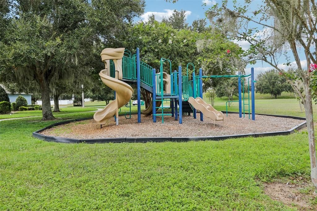 Backyard, Exterior, Playground