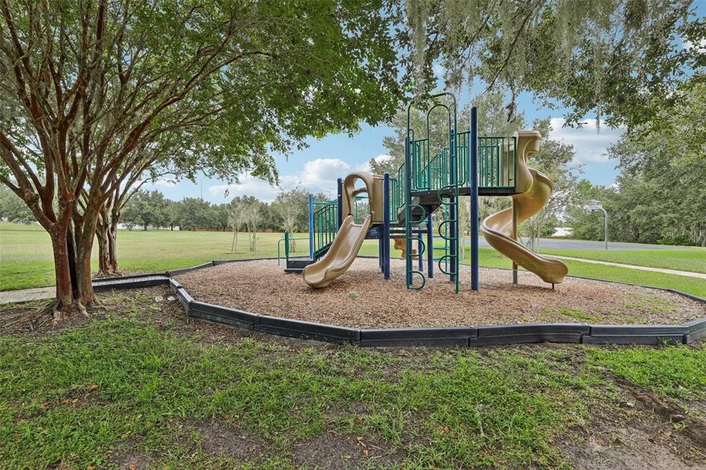Backyard, Exterior, Playground