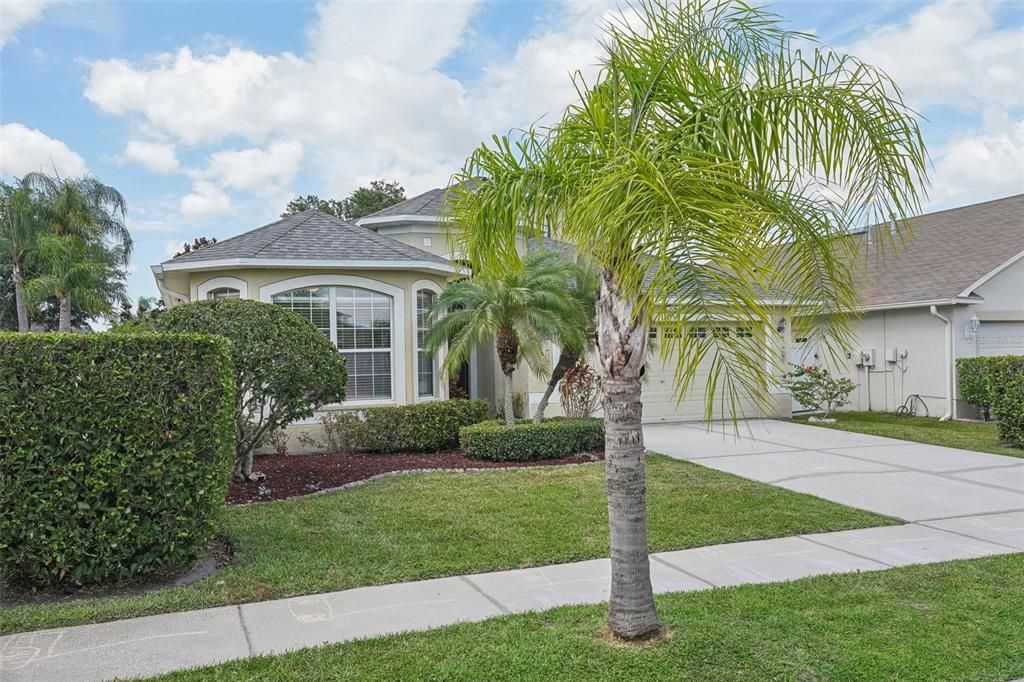 Attached, Backyard, Exterior, Facade, French Provincial