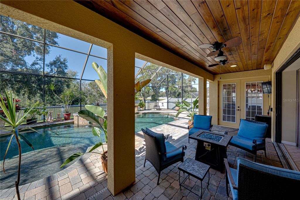 Glass Ceilings, Interior, Pool, Sun Room, Wooden Ceilings