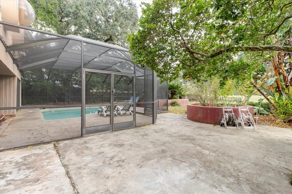 Backyard, Exterior, Pool