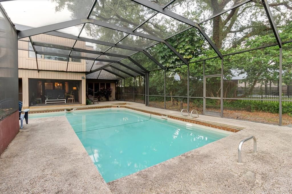 Glass Ceilings, Interior, Pool, Sun Room