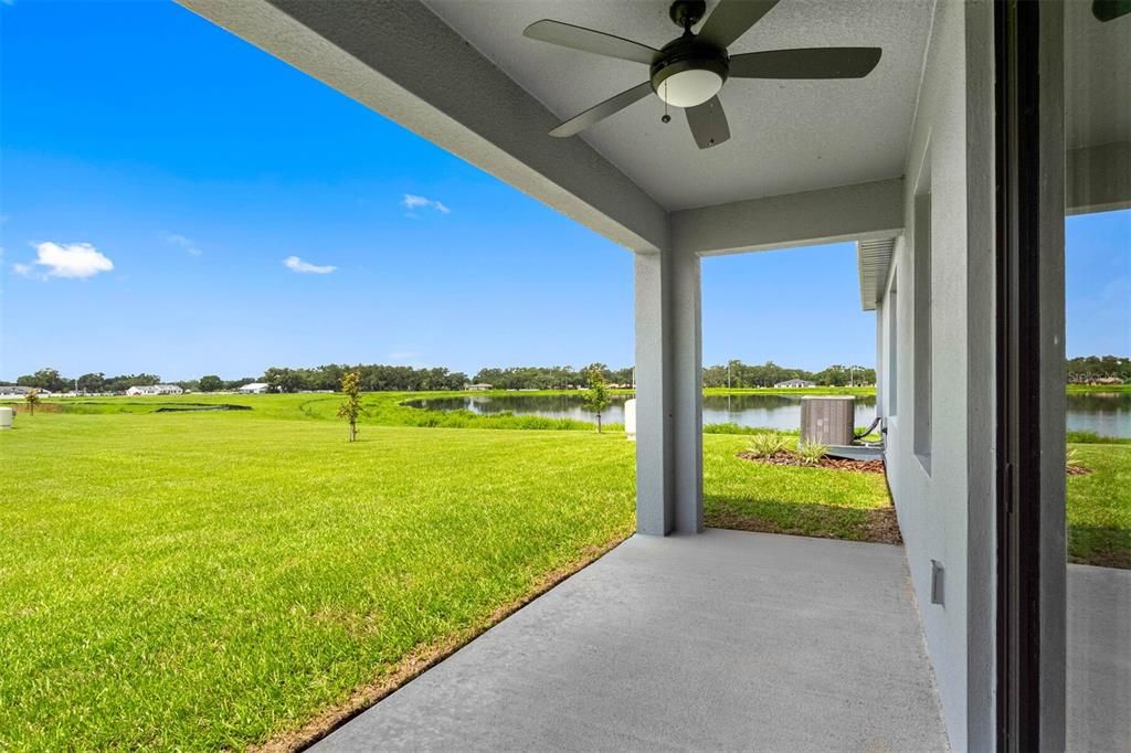 Backyard, Exterior, Interior, Water