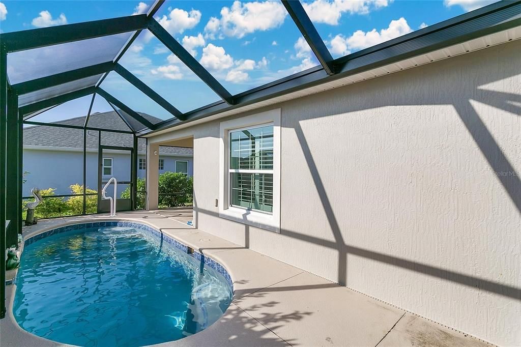 Glass Ceilings, Interior, Pool, Sun Room