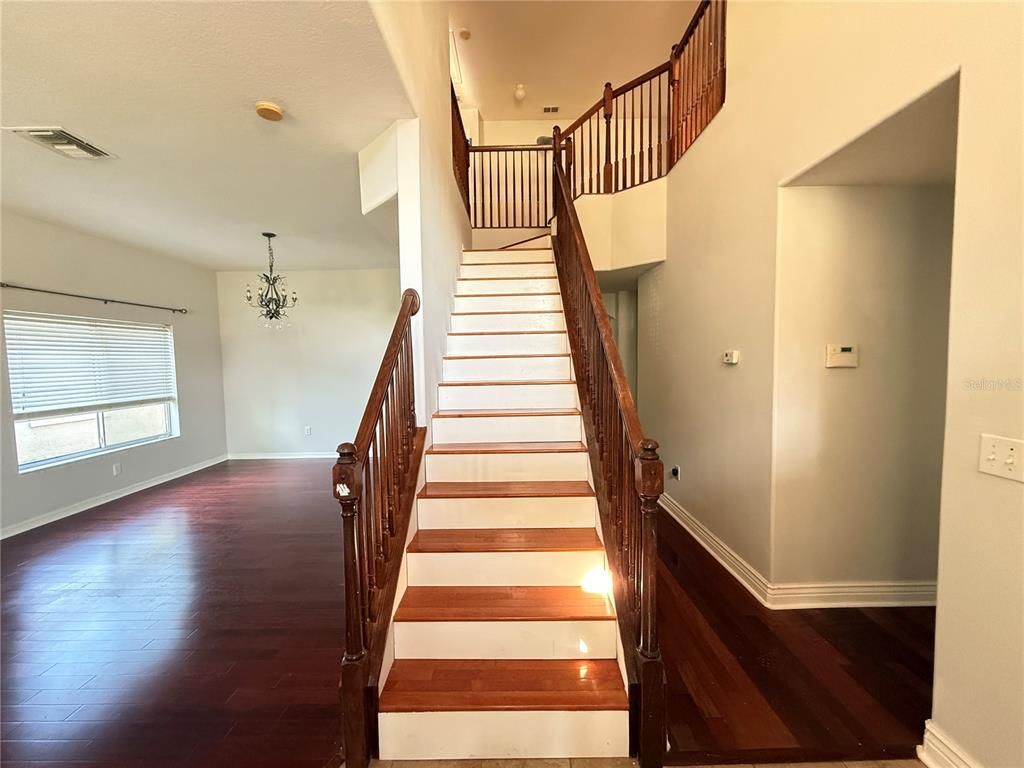Chandelier, Interior, Wood Texture Flooring