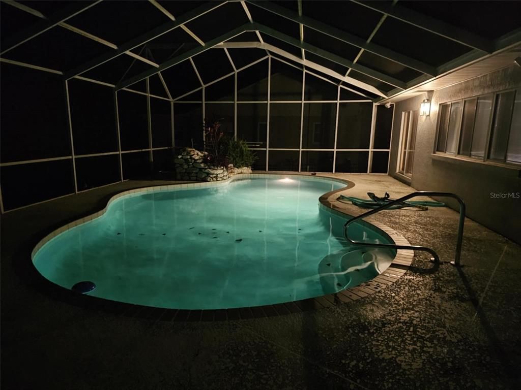 Glass Ceilings, Interior, Pool, Sun Room