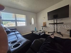 Home Theatre Room, Interior, Living room