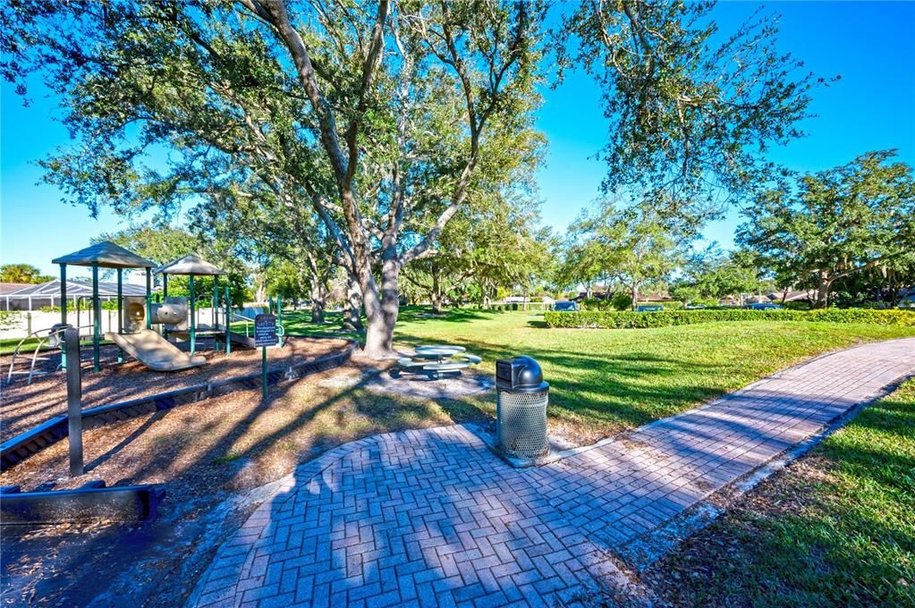 Backyard, Exterior, Playground