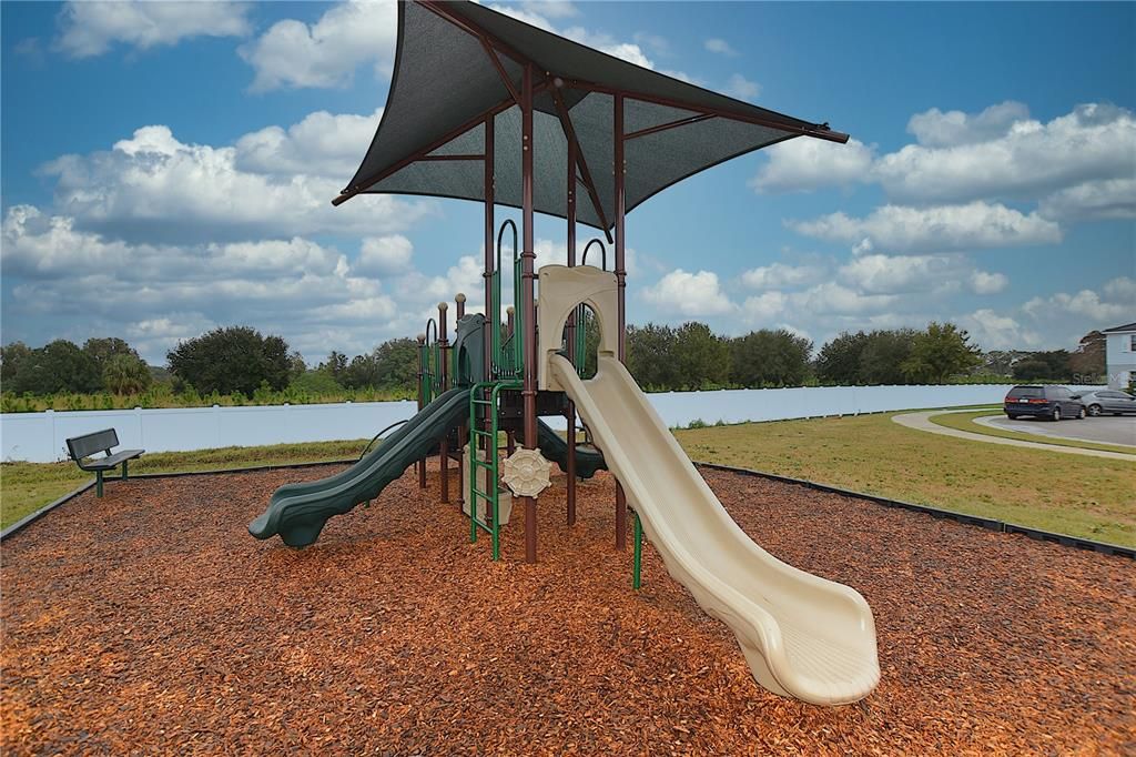 Backyard, Exterior, Playground