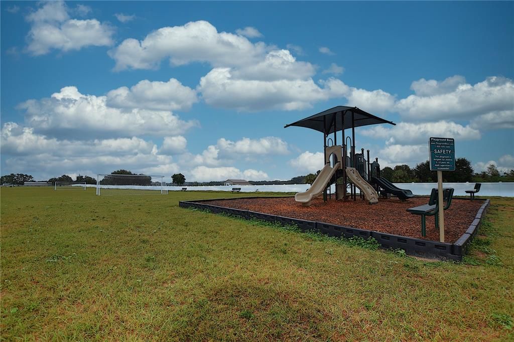 Backyard, Exterior, Playground