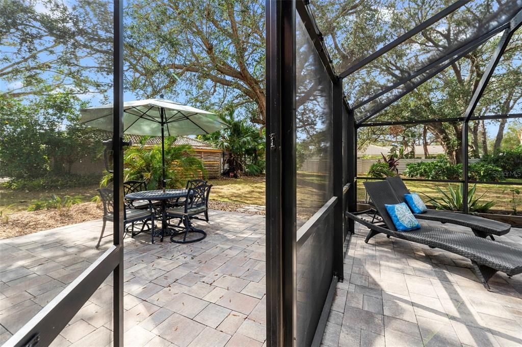 Glass Ceilings, Interior, Sun Room
