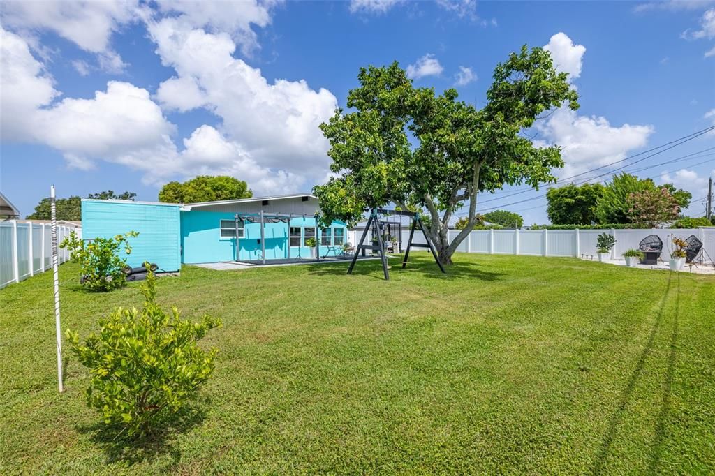 Backyard, Exterior, Playground