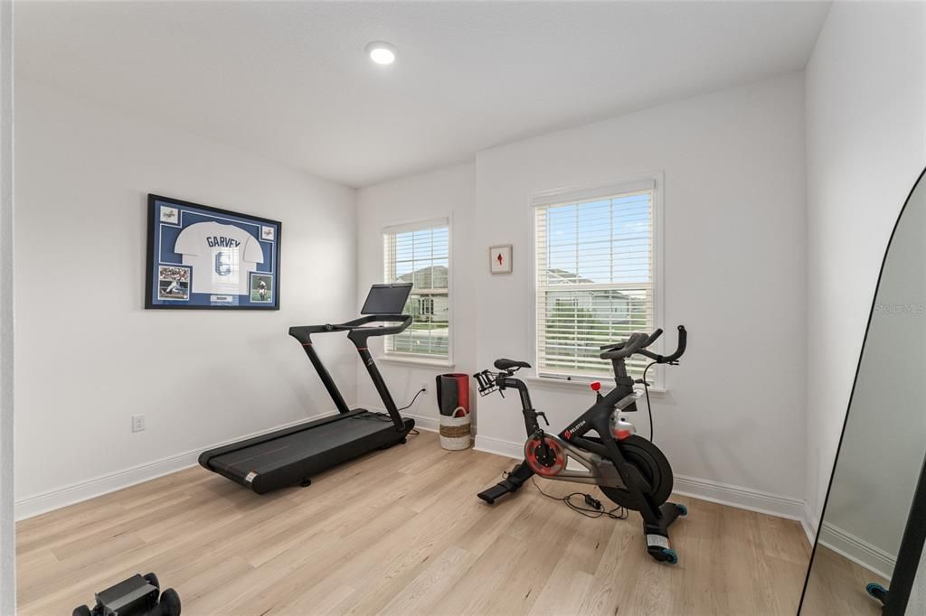 Fitness Equipment, Interior, Recessed Lighting, Wood Texture Flooring