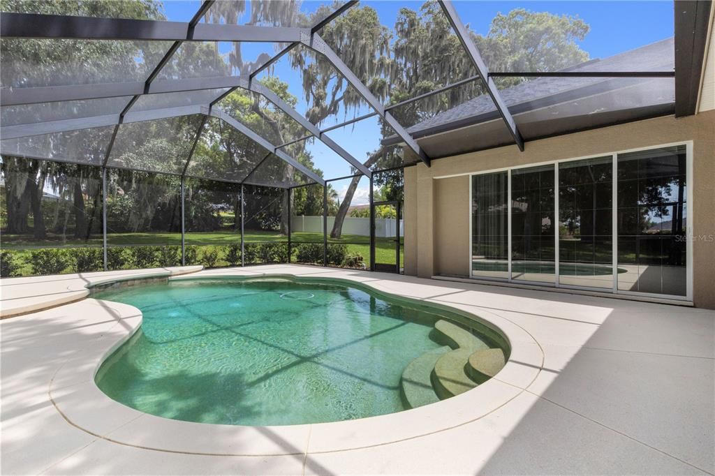 Glass Ceilings, Interior, Pool, Sun Room