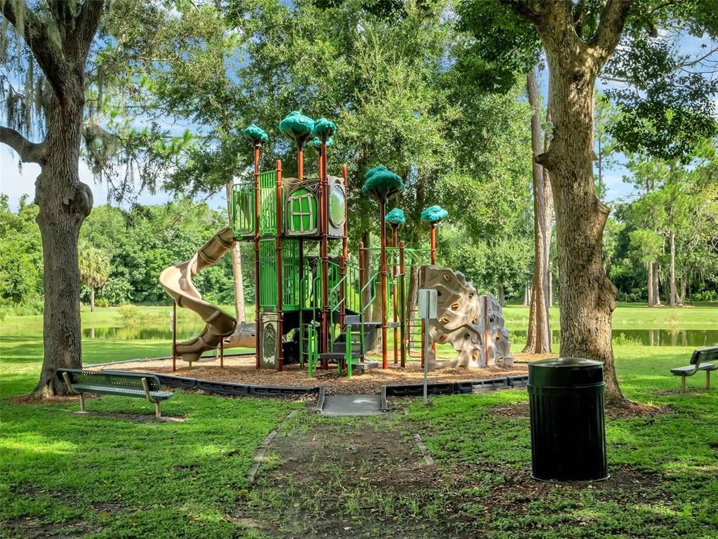 Backyard, Exterior, Playground