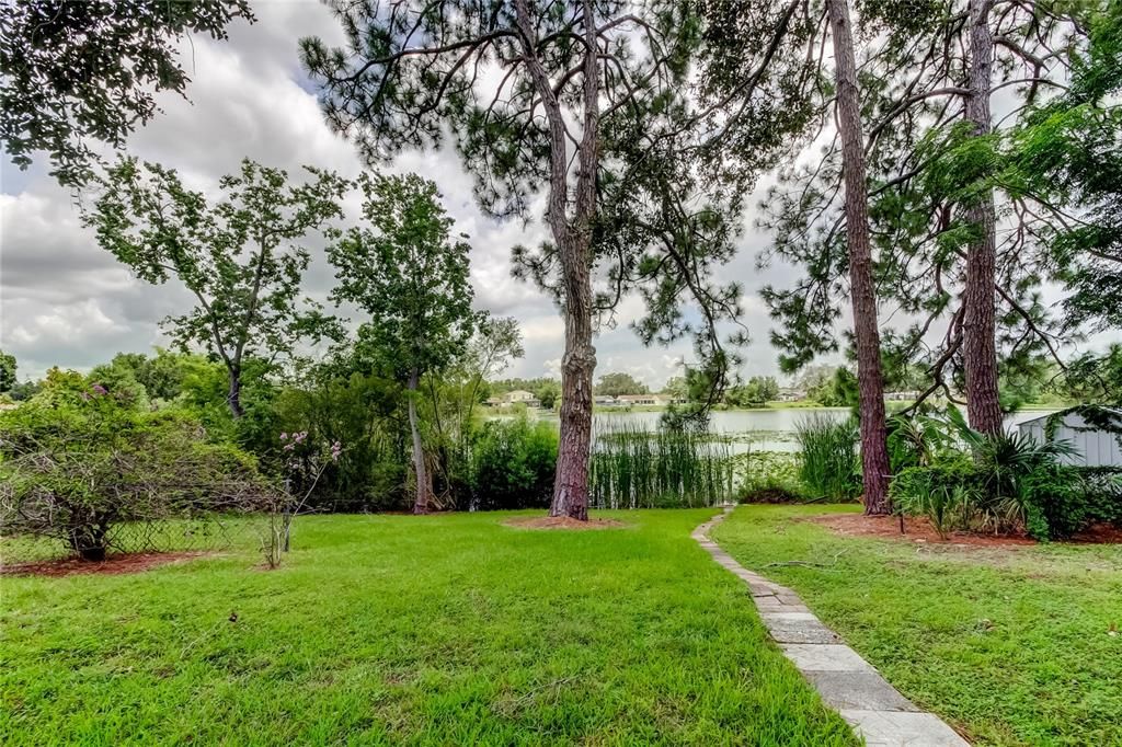 Backyard, Exterior, Water