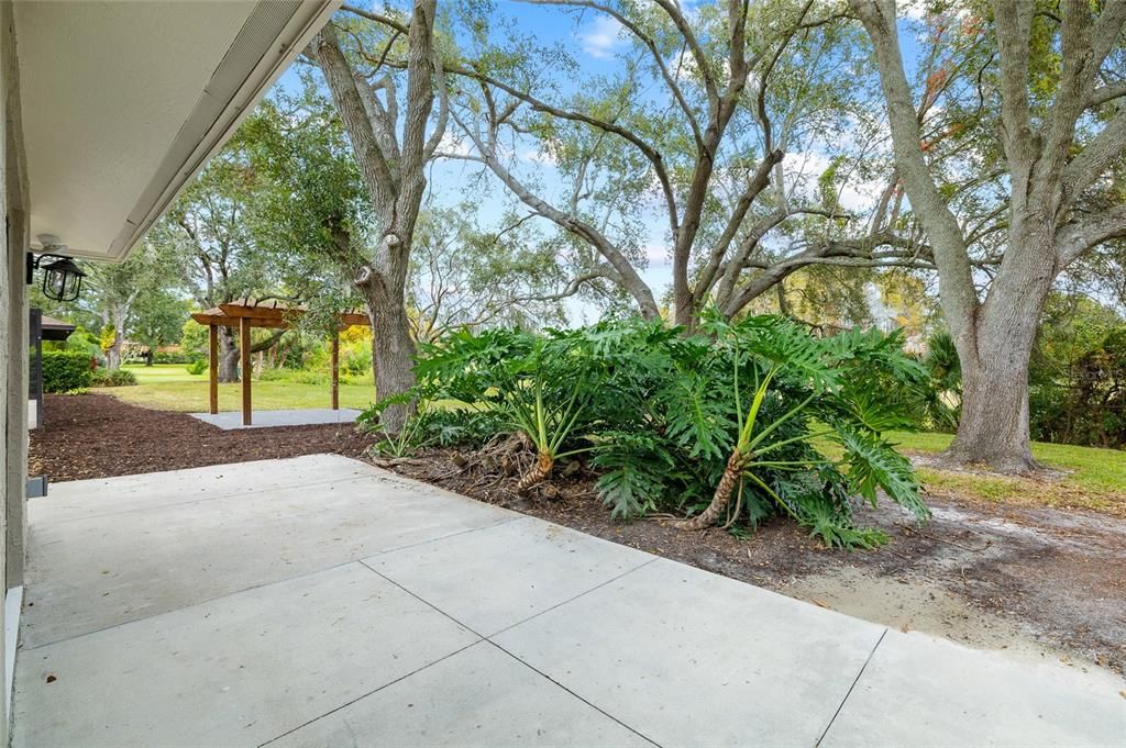 Backyard, Exterior, Playground