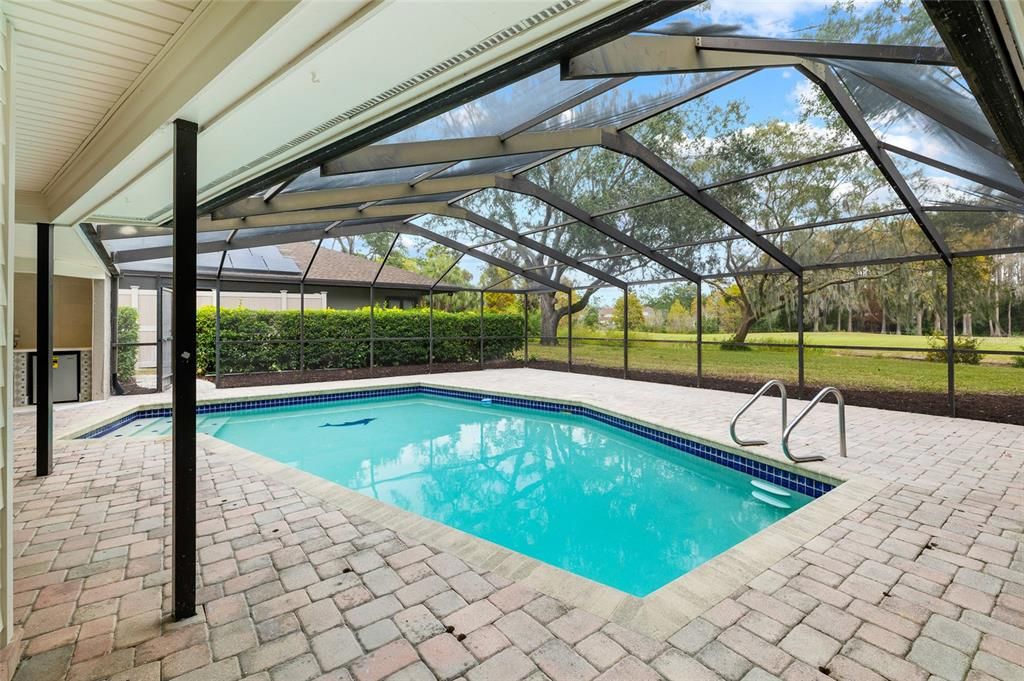 Glass Ceilings, Interior, Pool, Sun Room