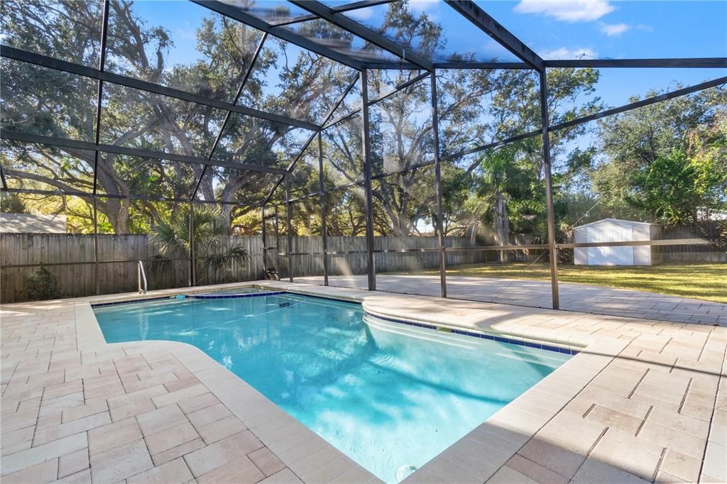 Glass Ceilings, Interior, Pool, Sun Room