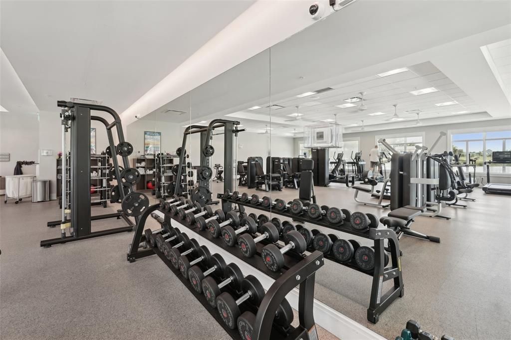 Fitness Equipment, Gym, Interior, Recessed Lighting