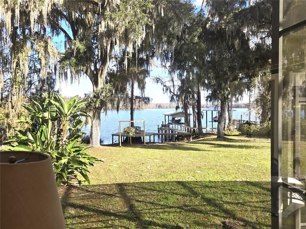 Backyard, Exterior, Water