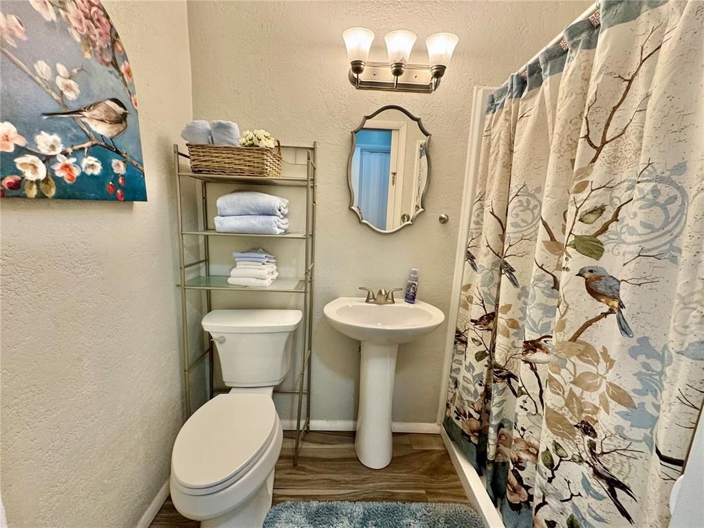 Bathroom, Interior, Wood Texture Flooring