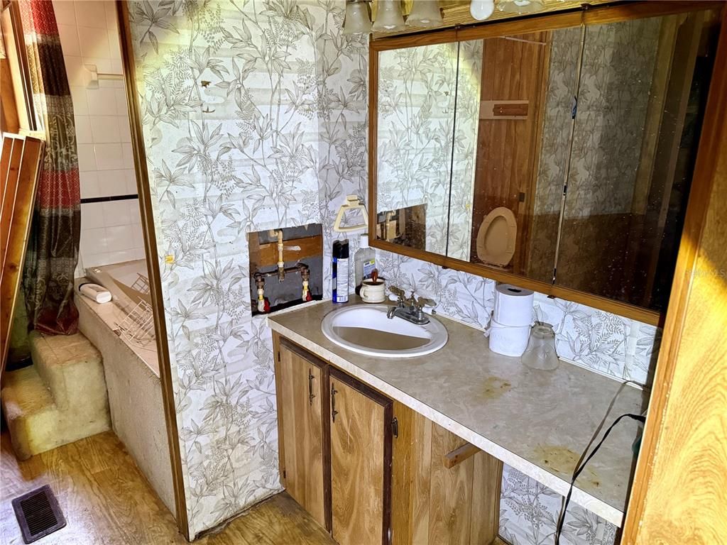 Bathroom, Interior, Wood Texture Flooring