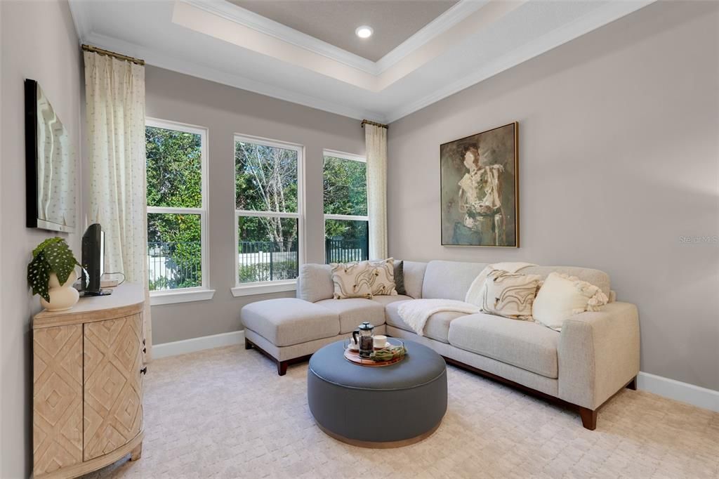 Interior, Living room, Recessed Lighting