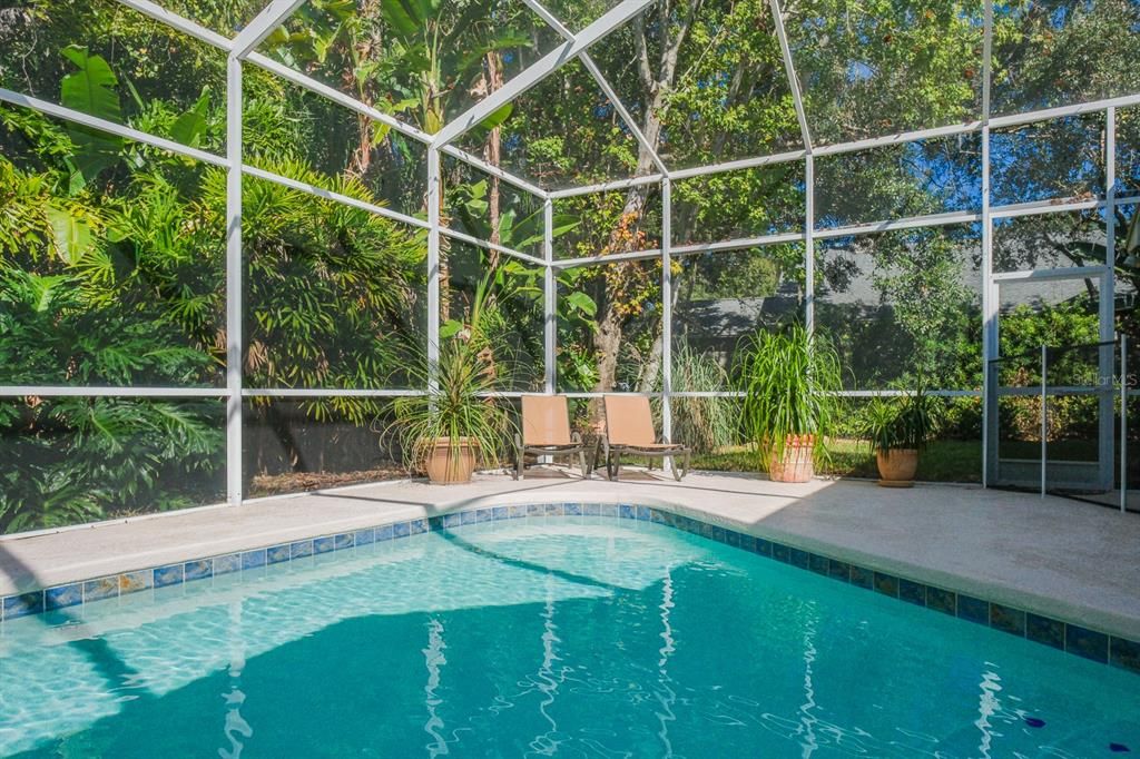 Glass Ceilings, Interior, Pool, Sun Room
