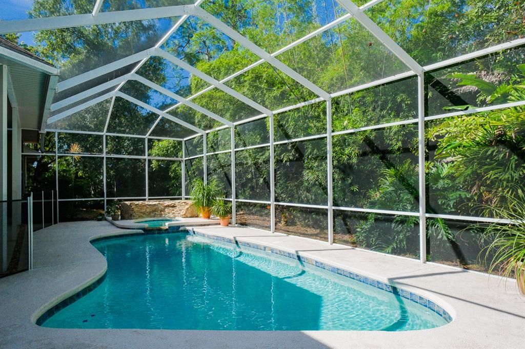 Glass Ceilings, Interior, Pool, Sun Room