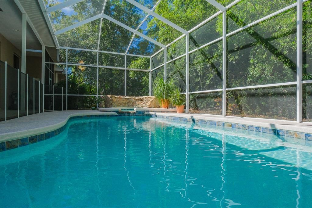Glass Ceilings, Interior, Pool, Sun Room