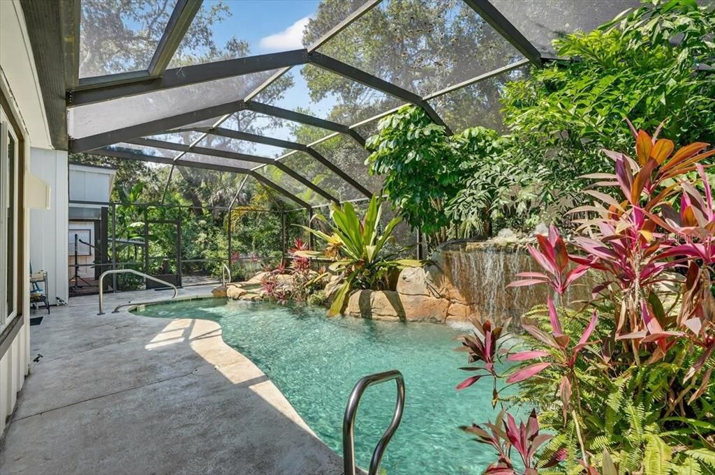 Glass Ceilings, Interior, Pool, Sun Room