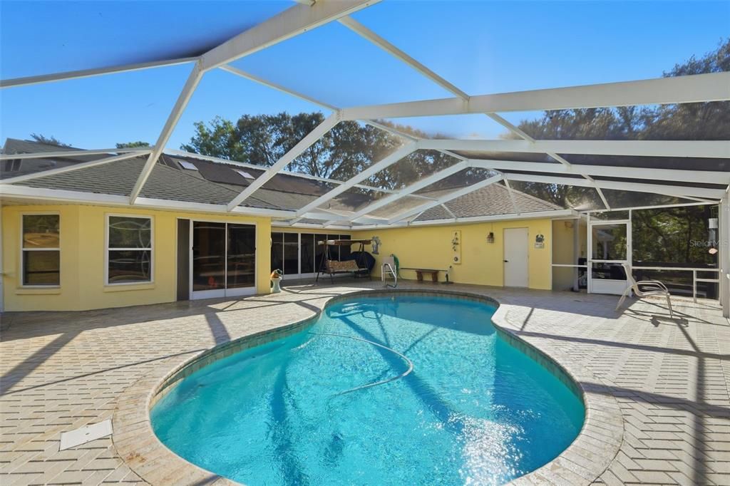 Glass Ceilings, Interior, Pool, Sun Room