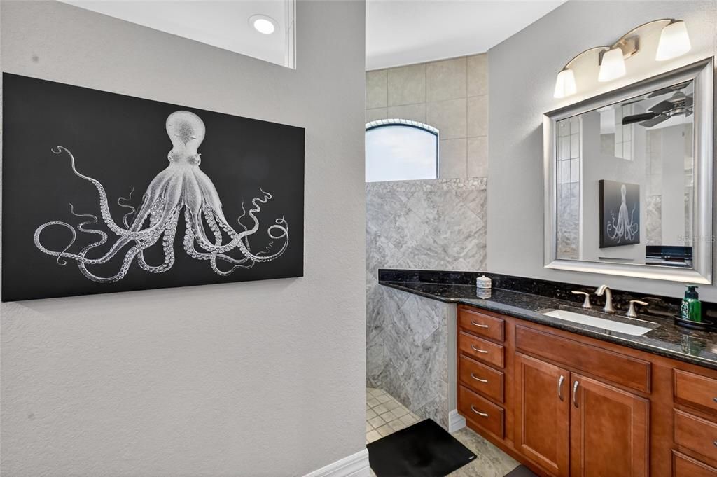 Bathroom, Interior, Recessed Lighting
